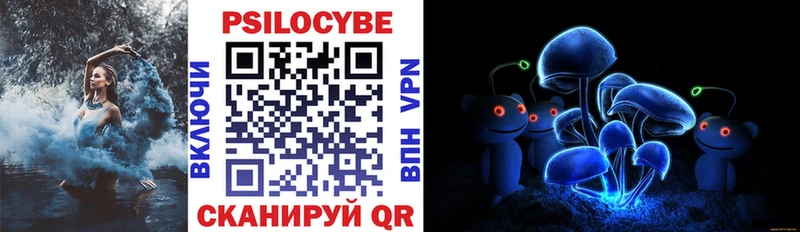 Псилоцибиновые грибы Magic Shrooms  мега как зайти  Андреаполь 